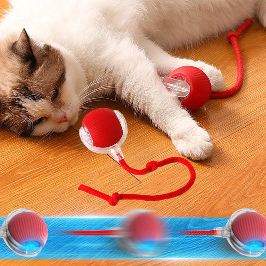 Smart Mouse Chase Ball - Interactive Pet Toy